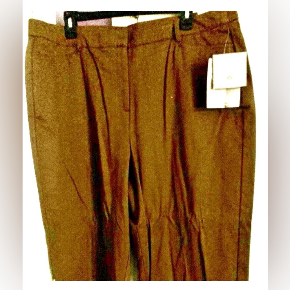Misses Sag Harbor Cocoa Brown Khaki Pants Size 18 inseam 23" New With Tags